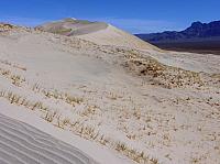 Mojave reserve (13).JPG